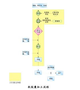 软胶囊加工流程