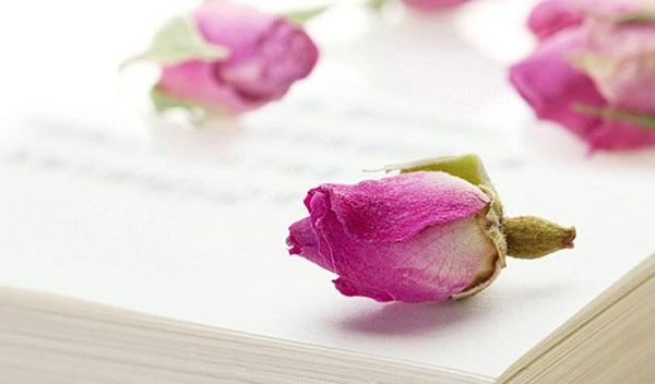 粉玫瑰花茶代加工 粉玫瑰花茶代加工